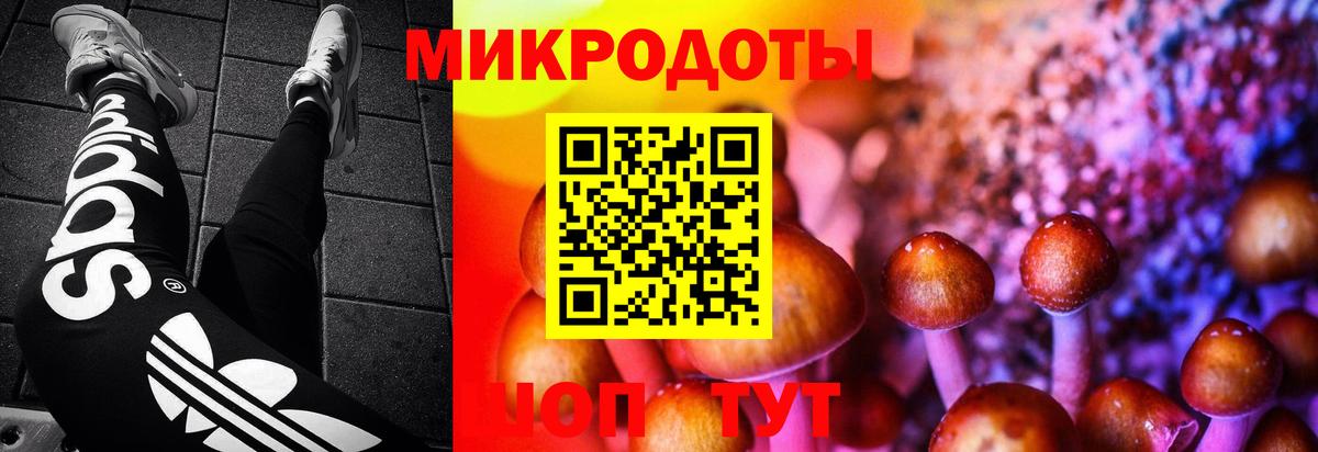 Галлюциногенные грибы Psilocybe Лангепас